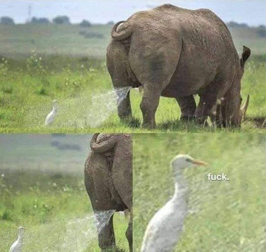 103854274_3207717695947221_6772543443051023025_n.jpg
