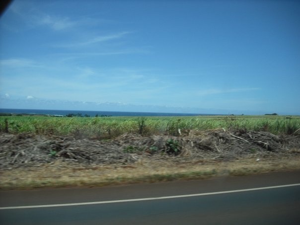 10399153_1202199812385_7195864_n_2bfa9f28930479dfbcda058ce5fd9a1b694ce777.jpg