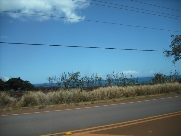 10399153_1202199892387_2083270_n_38f4ccef307fc15fc26e93e64b3786ff7ccd4250.jpg