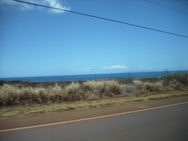 10399153_1202199932388_6508165_n_661e94ab9357f7e7fc945bbdad2025ab023961ba.jpg