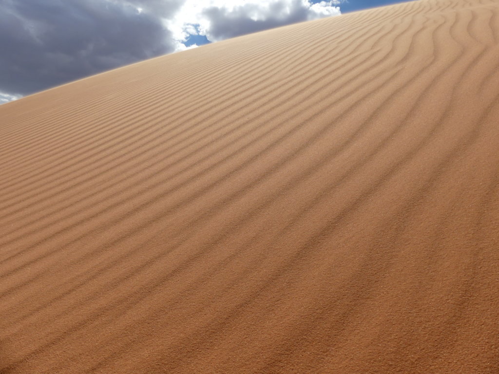 1050947.jpg