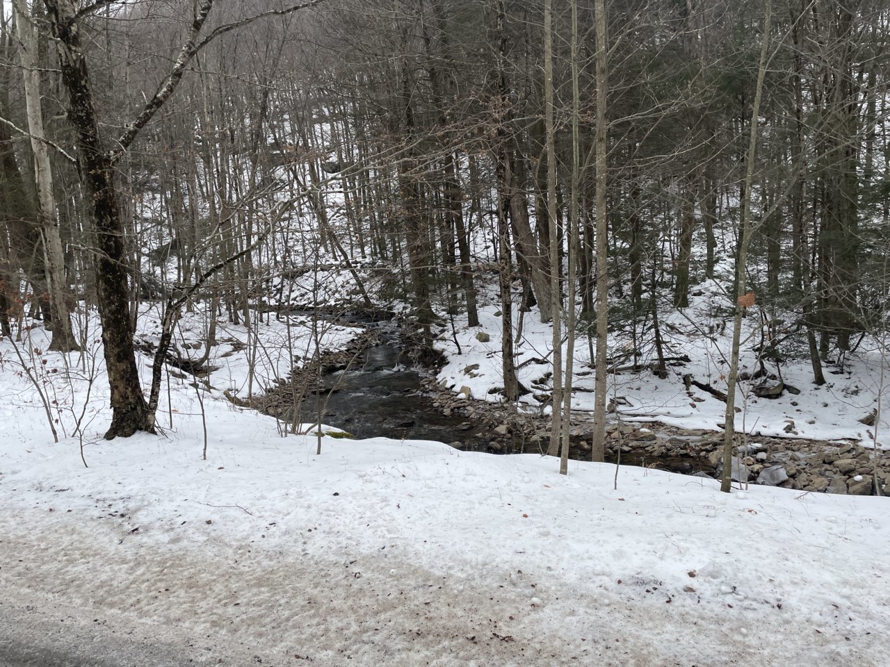 1072909F-0D5C-4DA0-AD06-7692B6F7F04A.jpg