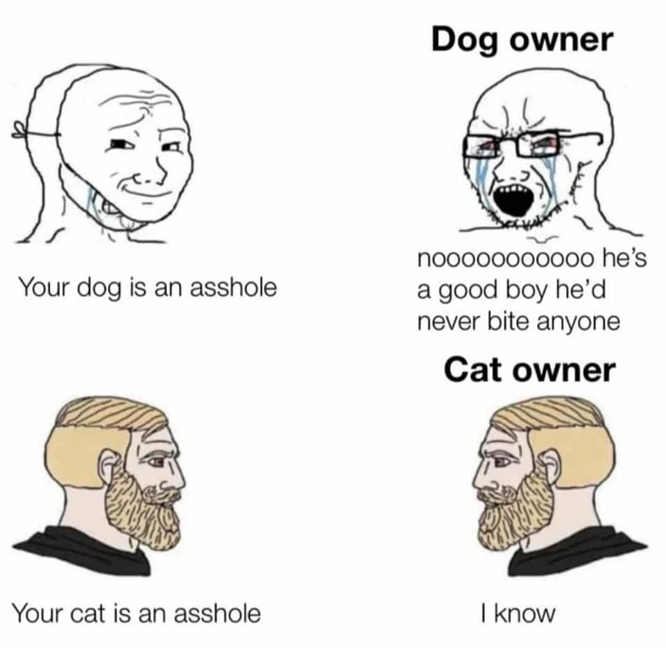 108986949_2440404396252261_8610148581265521575_n.jpg