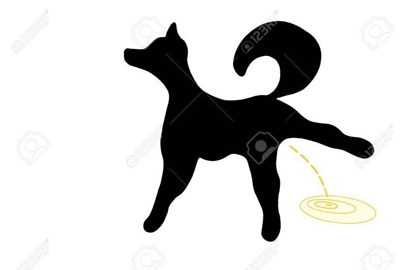 10921927-Black-silhouette-of-a-dog-pissing-Stock-Photo-pee.jpg