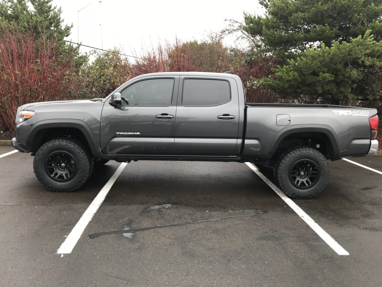 bilstein-5100-lift-tacoma-world