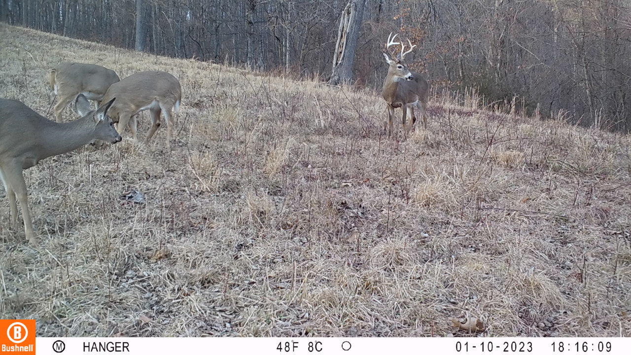 10DEC62A-B592-4116-8249-60EB69EF0620.jpg