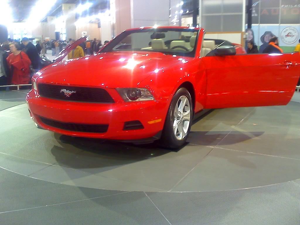 10mustang_2b61e378010f9249b2cd4afd209e52a0747d8f02.jpg