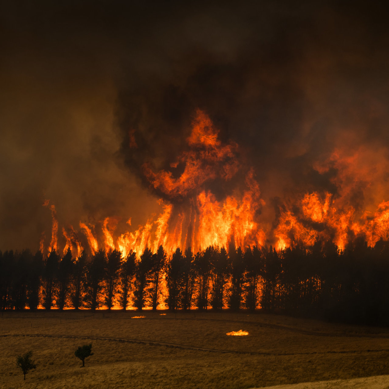 10oz-fires-mobileMasterAt3x-v2.jpg