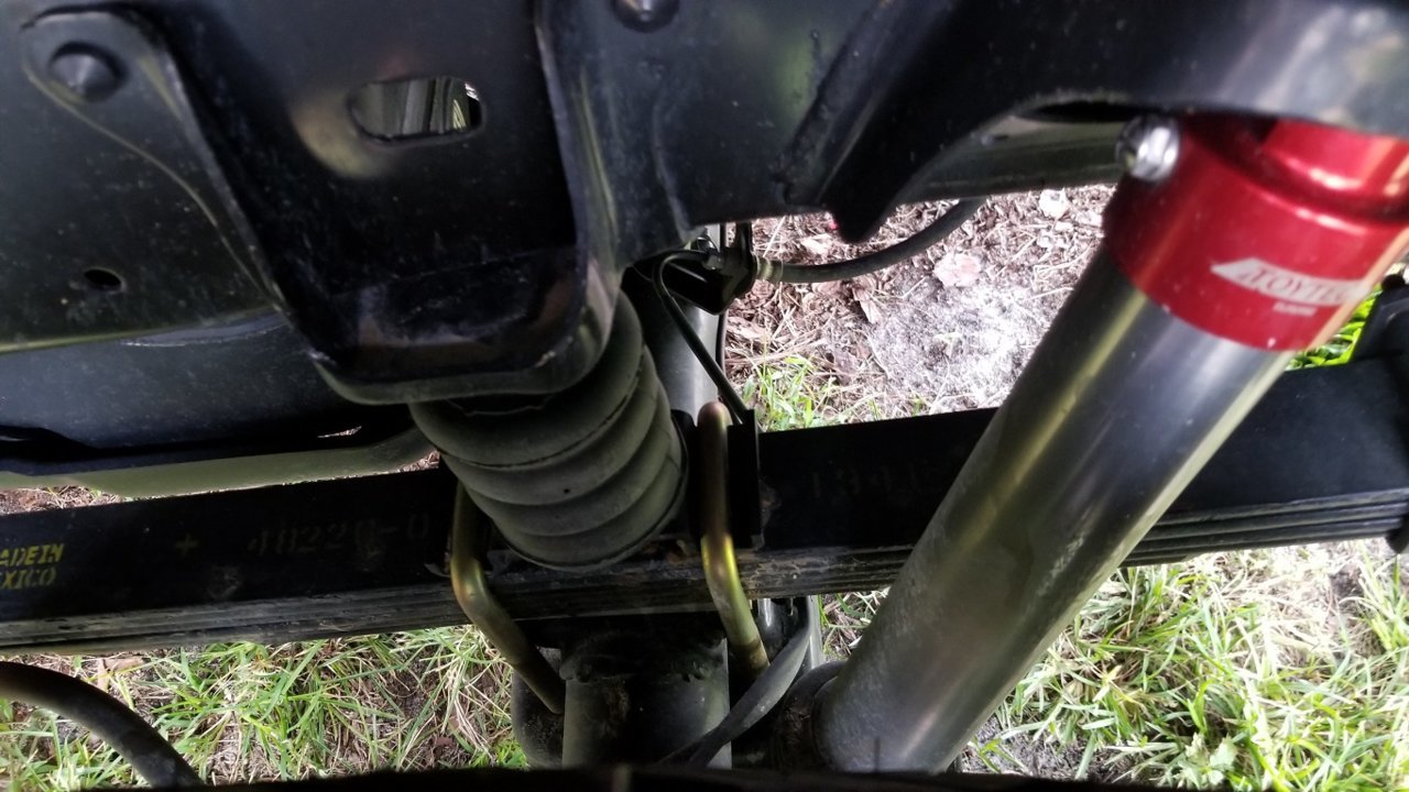 11-22 rear sumo1.jpg