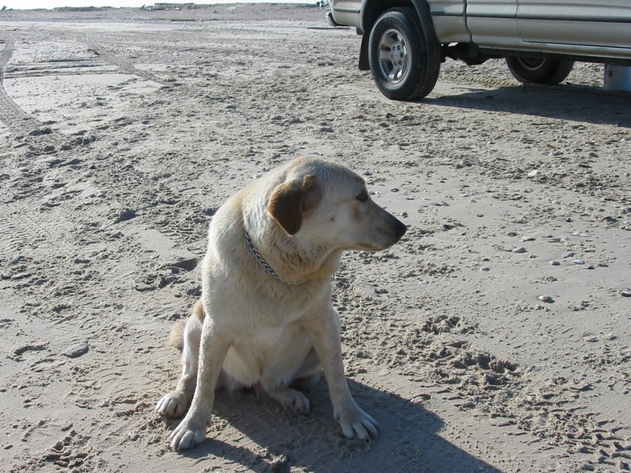 11-8-02 005.jpg