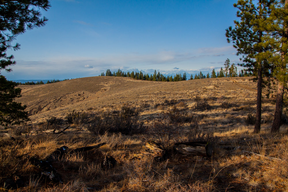 11-8-12manashtashridgetrail-10_4e8a82897276042bc1fc91acb56ef456cec31fcf.jpg