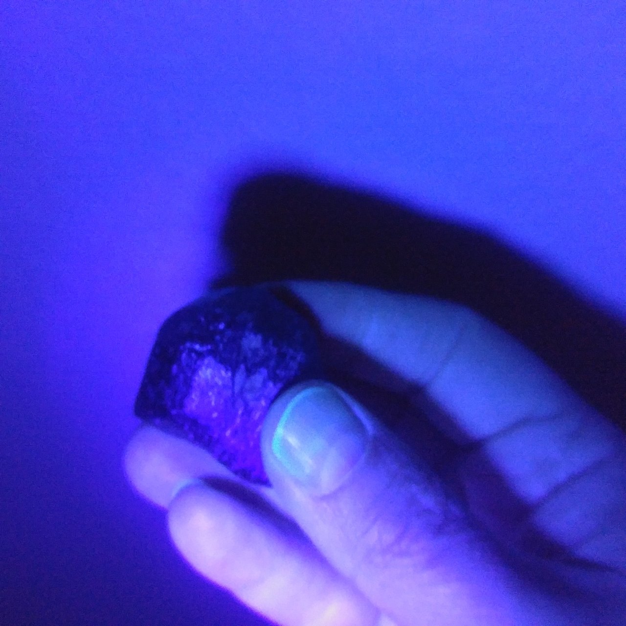 1105221443.jpg