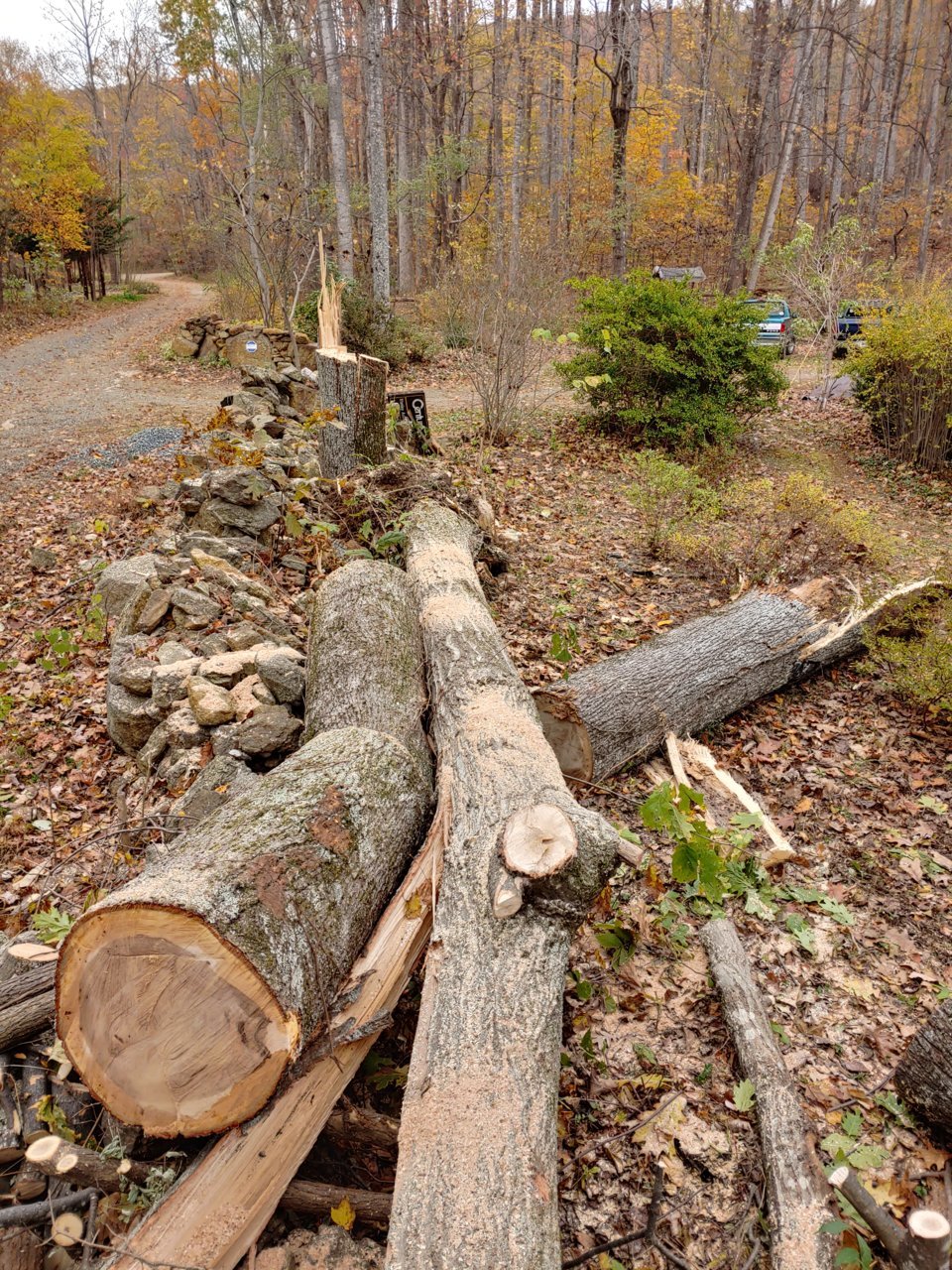 1109191436b_HDR.jpg