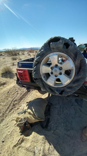 1113161102_HDR.jpg