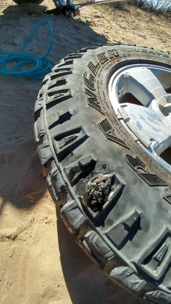 1113161229a_HDR.jpg