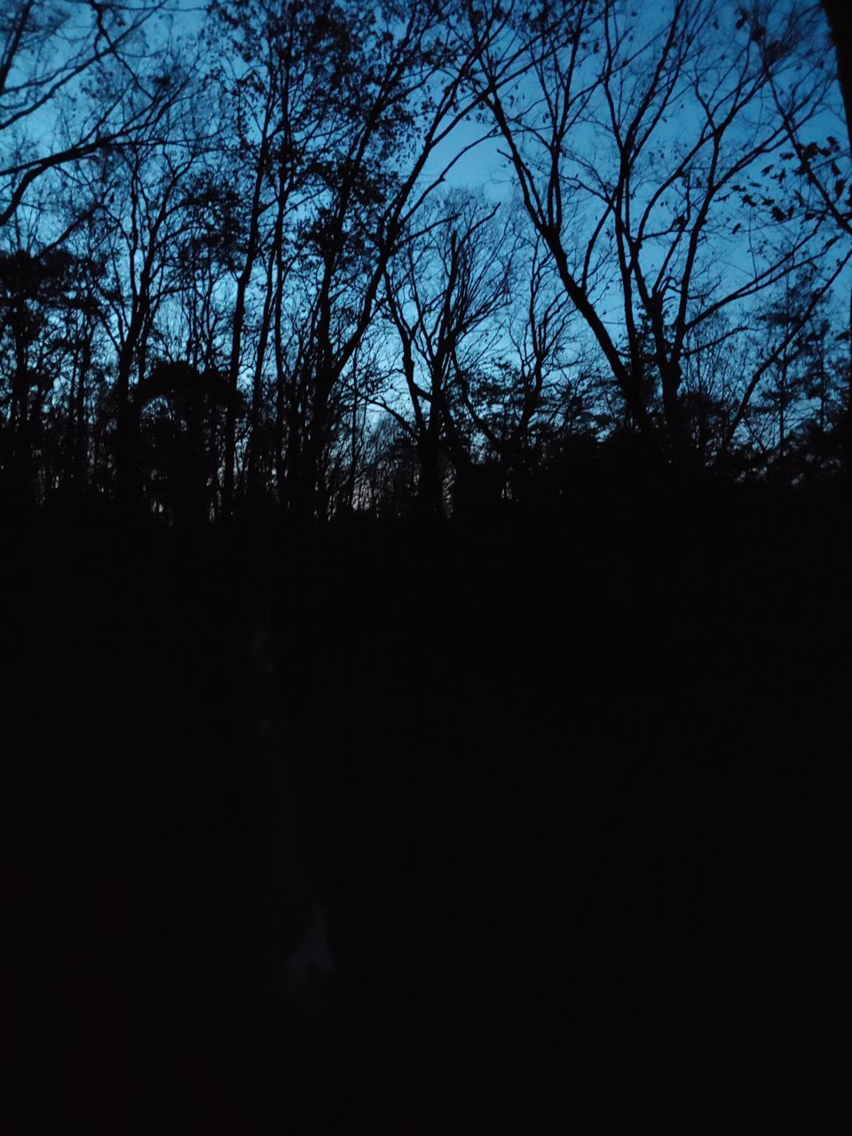 1116190619.jpg