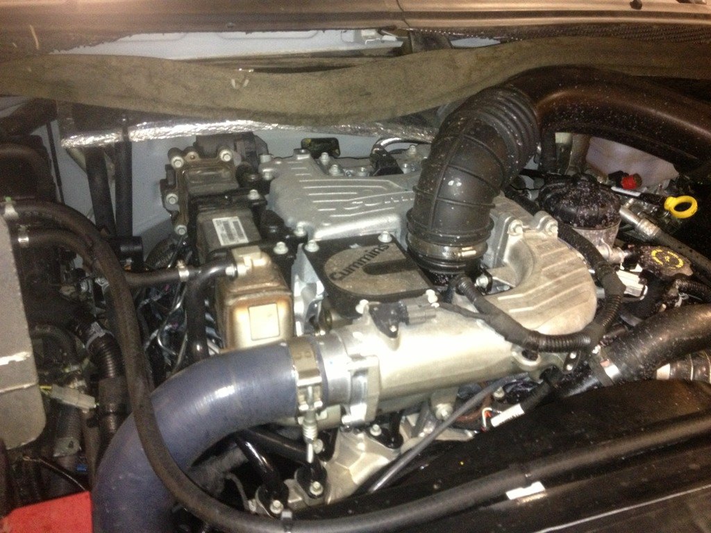 112193d1382472912-look-what-i-spotted-im_7f8372fe1c0d3e457b3178843279110f52f702df.jpg