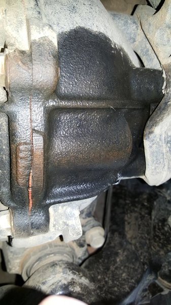 11262809_10203053318133685_908012999_o.jpg