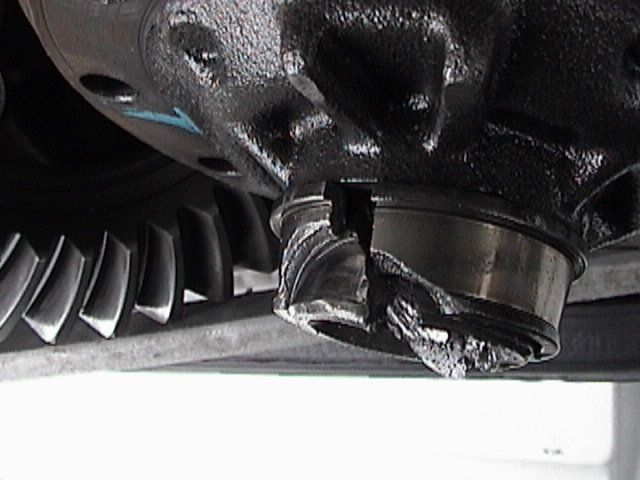 112661d1077935847-massive-research-effor_80b4563bcbe7338f036c8c8ff0a0227676971380.jpg