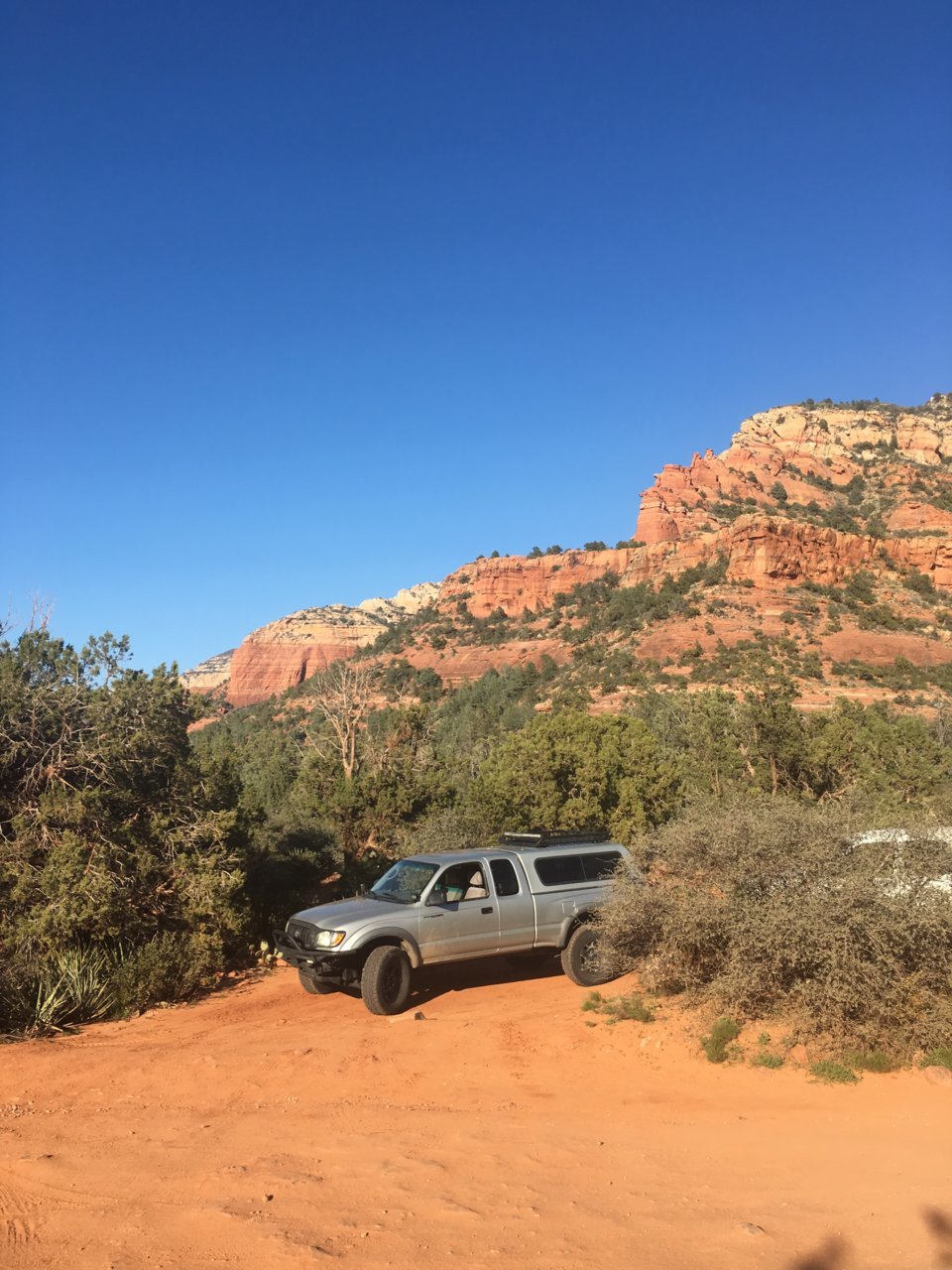 11382FCA-A684-47C2-90B0-D7D07BF79C4D.jpg