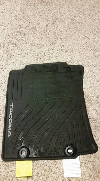 11392835_858621404185510_9146894398165231042_n.jpg