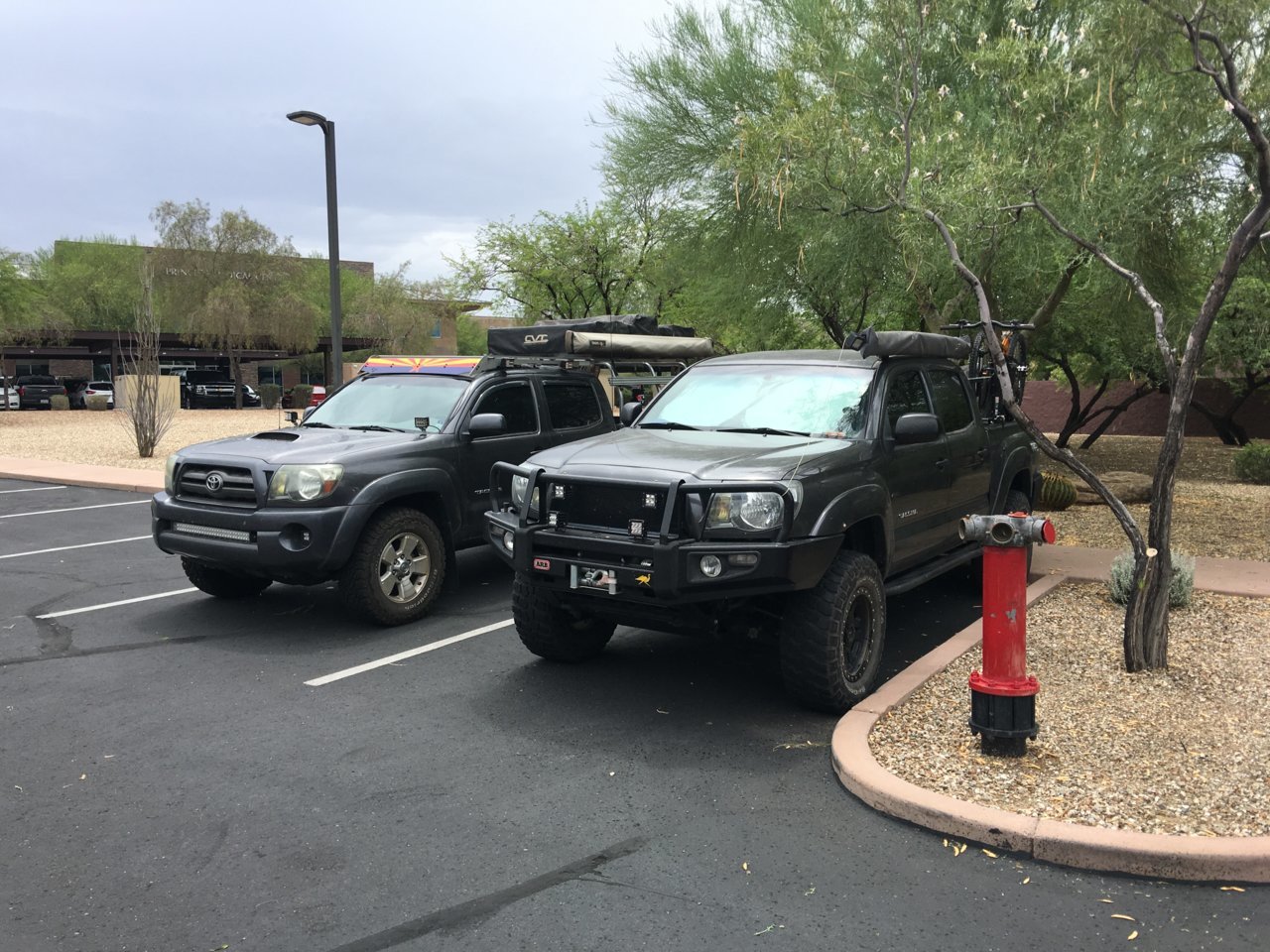 113CBFD2-DA07-4996-A23D-E05DDEEA72C7.jpg