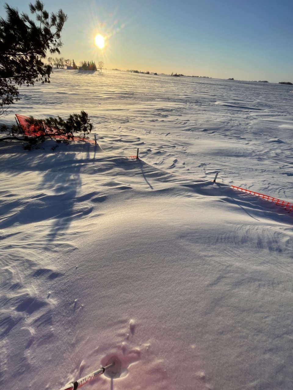 11490A76-2A22-4DEC-A34C-9291B5E479F4.jpg