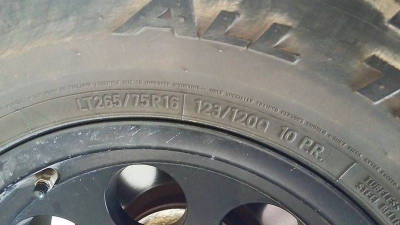 11738125_1143912048971789_1983913732274801538_n.jpg