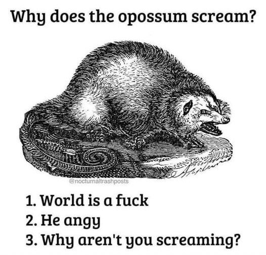 118396671_10222825224957281_3208877225872103100_n.jpg