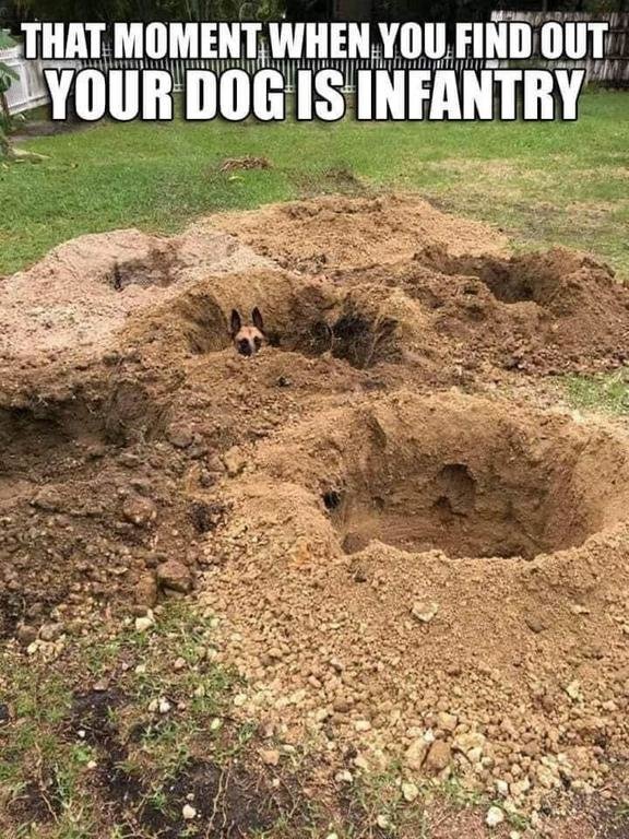 11B_Corps.jpg