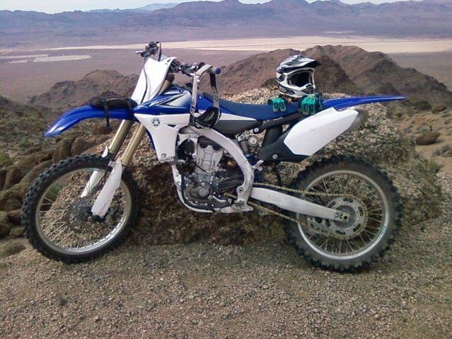 11yz.jpg