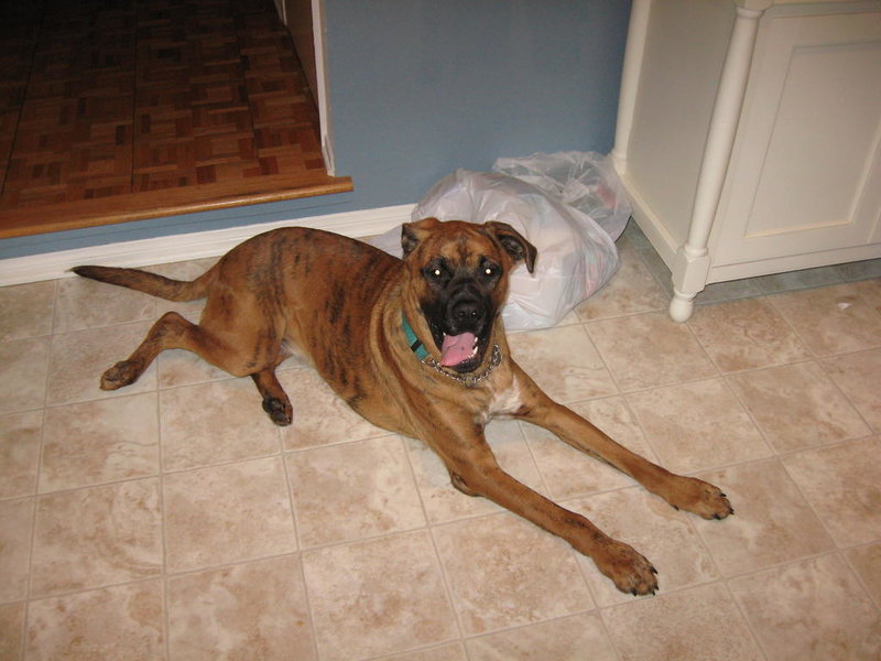 12-25-07 096.jpg