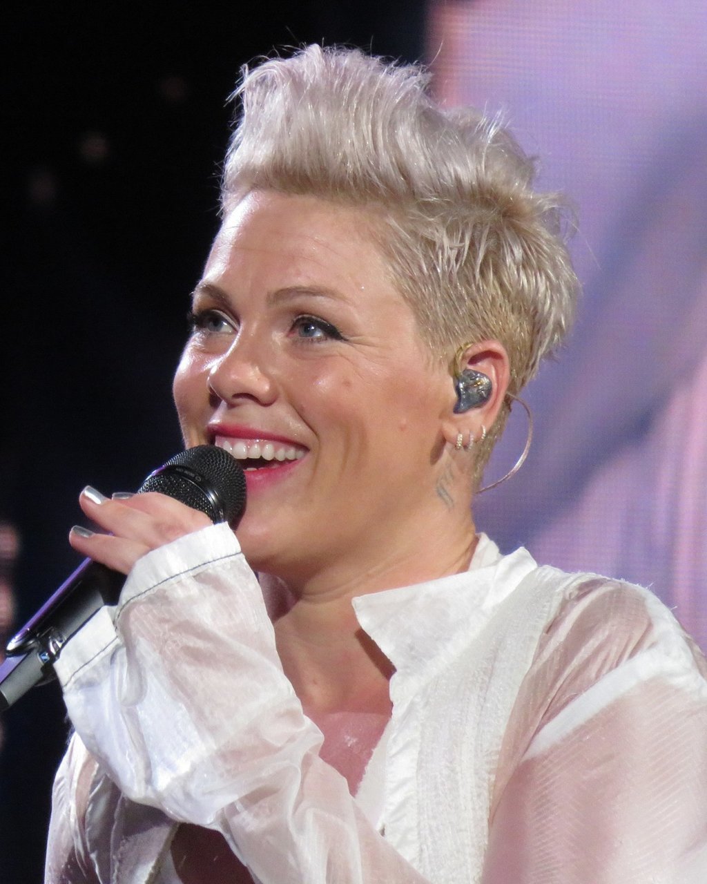 1200px-Pink_2019-07-27_Munich_(cropped).jpg