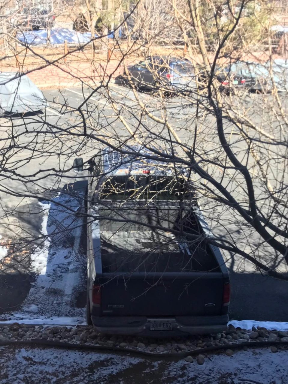 12019-02-20.jpg