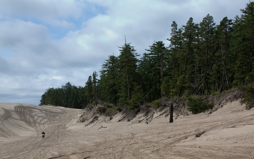 120331_Sand_Lake-30_29f84bbf1713c714d25cde3e73fed41f4c67a4b1.jpg
