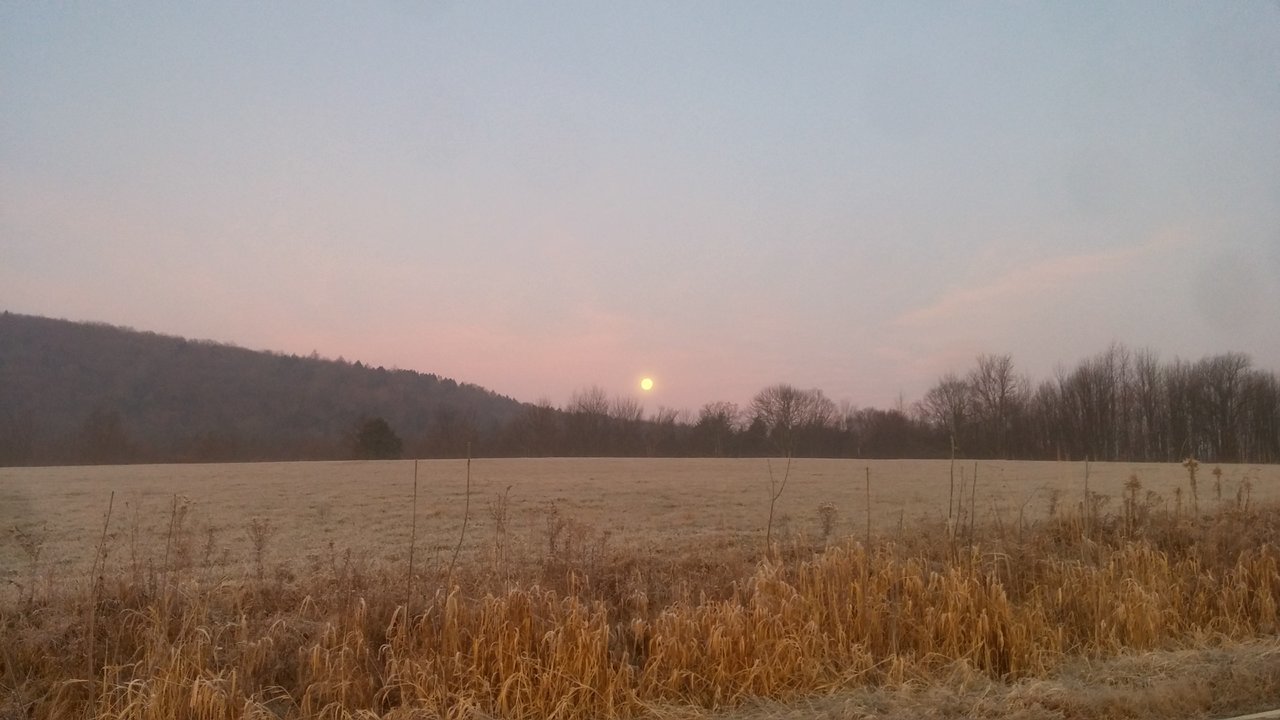 1204170700_HDR.jpg