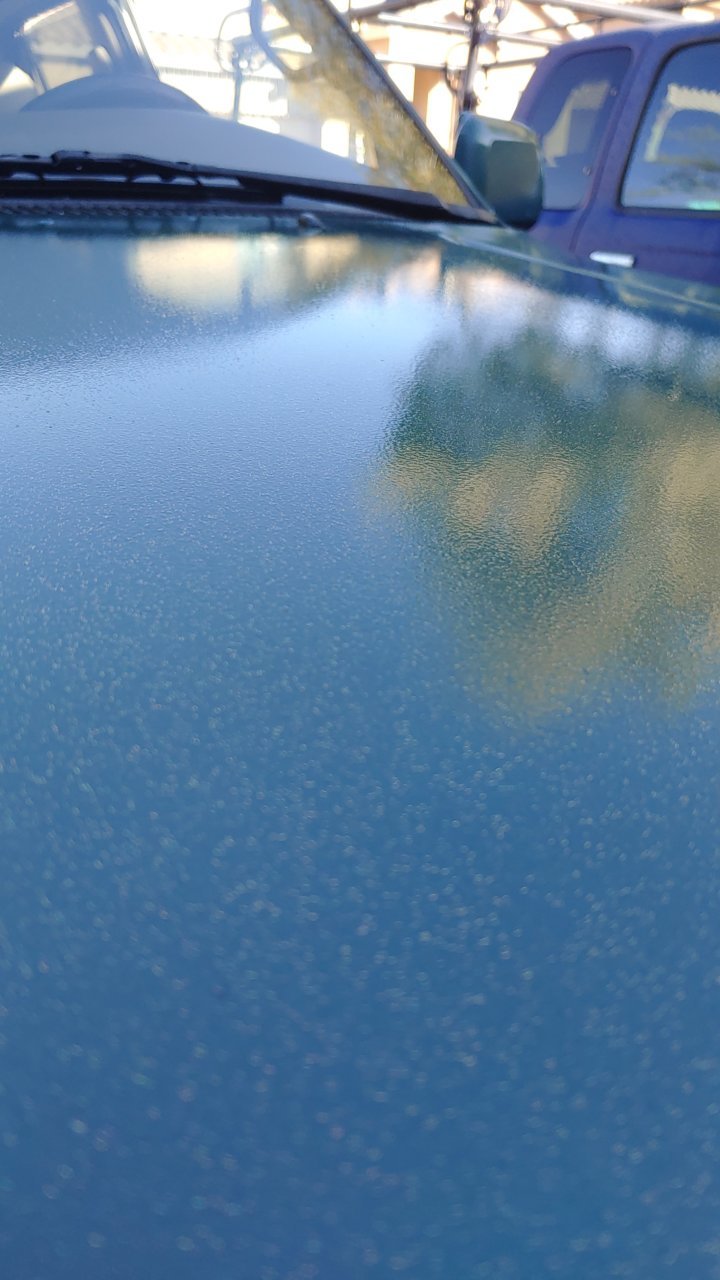 1204211003.jpg