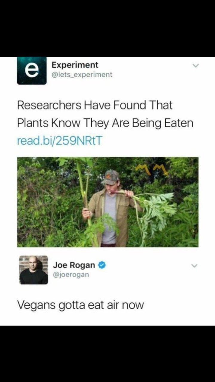 12092.jpg