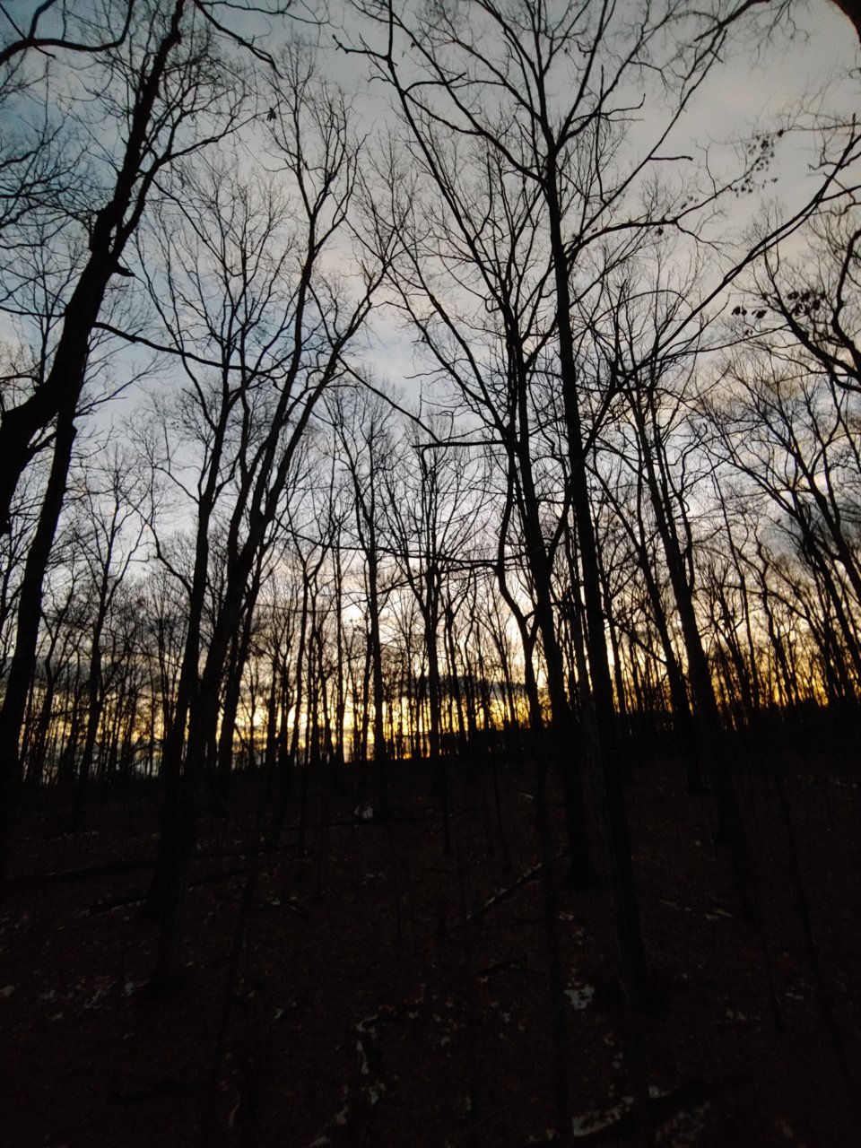 1222200701a.jpg