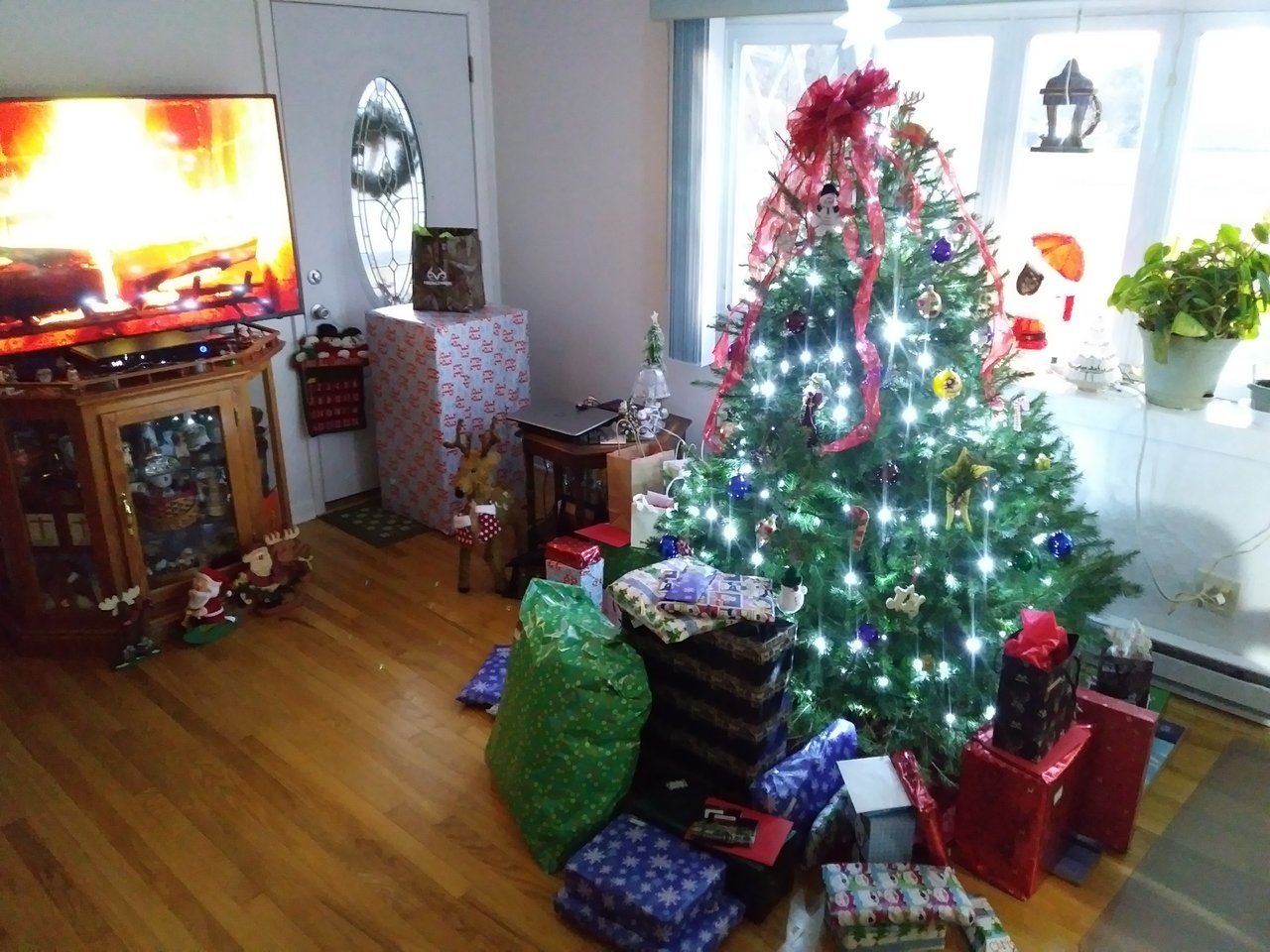 1225170719[1].jpg