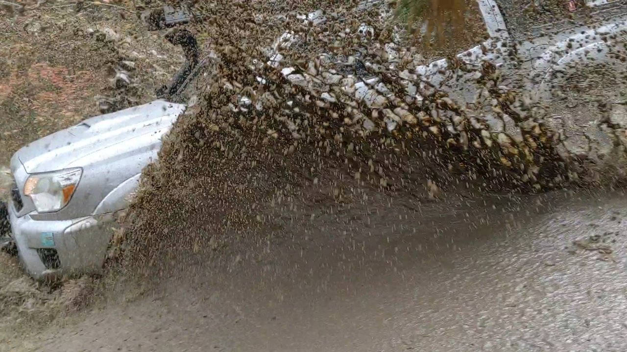 122667134_10158733701568544_2259095509052774163_o.jpg