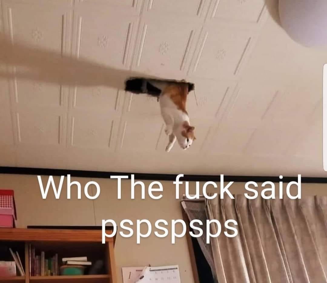 122791704_2519971421628891_5648989321807188533_o.jpg