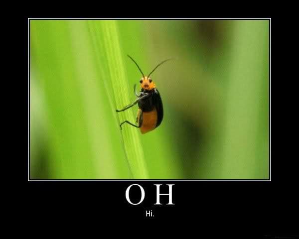 122osut_3bfae3cd07fb1a7c65865db9d6145b1d32af26cc.jpg