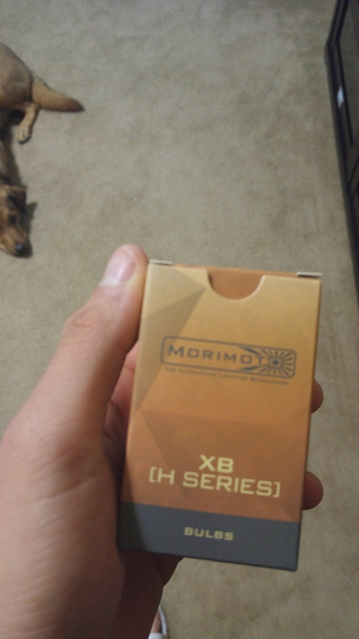 1231171320a.jpg