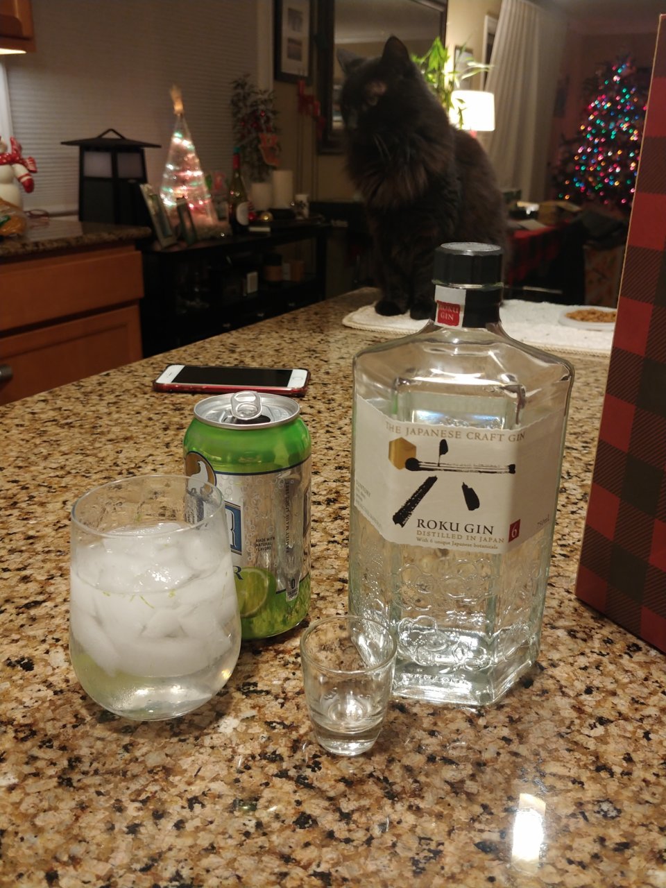 1231222117.jpg