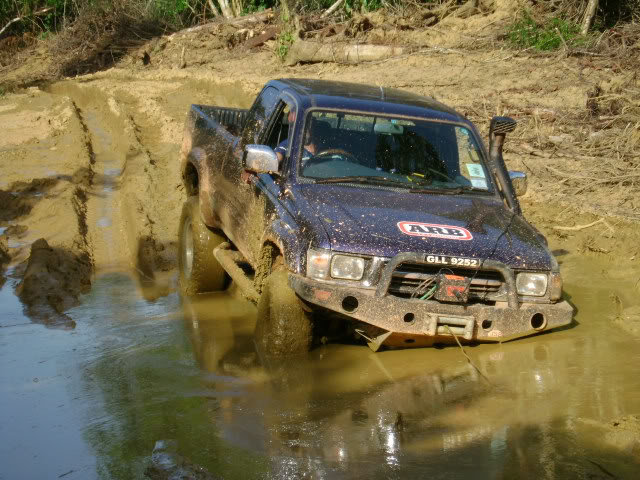 12376344_39acebafdef1cfa1c870164ec7aa669ee0f69e07.jpg