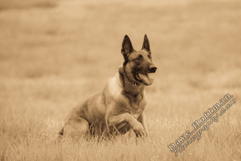 1261368313_qP2w5mn-L[1].jpg