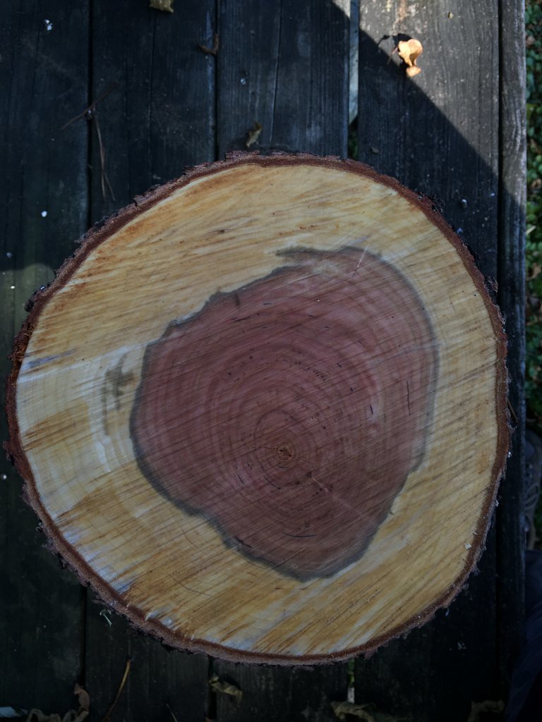 1266001D-4A5E-474E-A847-4436F27E9D27.jpg