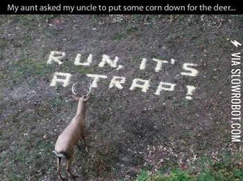 1272014013093.jpg