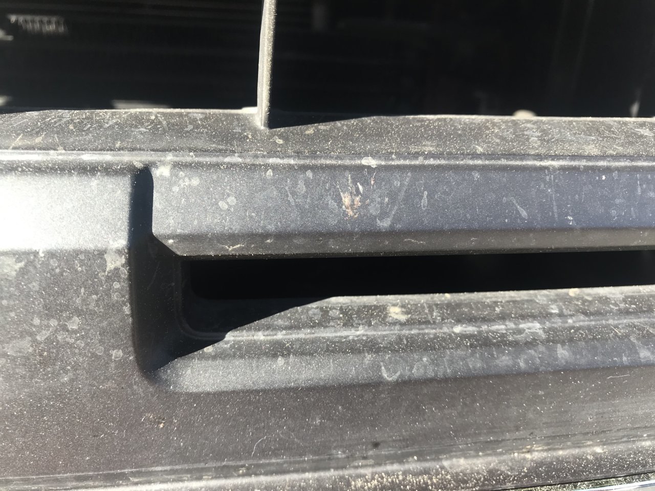 127EF01E-4C10-4AAD-8960-852CA8748472.jpg